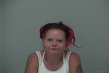 Lee Ann Danielle Zeger Mugshot