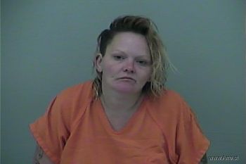 Lee Ann Danielle Zeger Mugshot