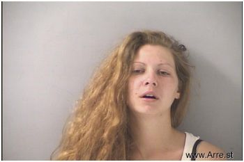 Leslie Anne Ballinger Mugshot