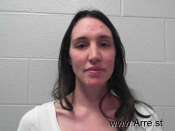 Lisa Anne Riegel Mugshot