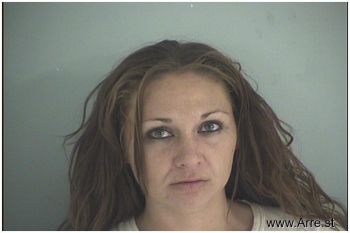 Lisa Melinda Turner Mugshot