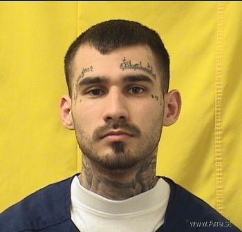 Logan  Cook Mugshot