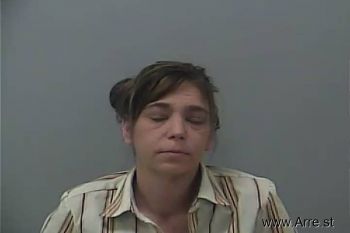 Lynn Nicolle Wheeler Mugshot