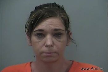 Lynn Nicolle Wheeler Mugshot