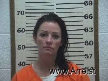 Lacey Leeann Silcox Mugshot