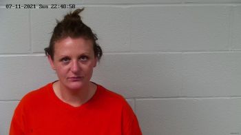 Lauren Raquel Palmer Mugshot