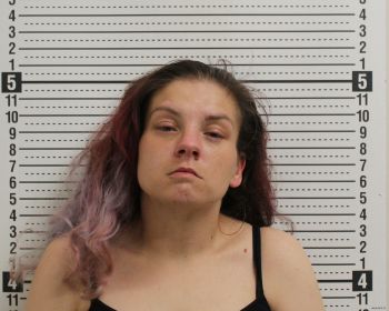 Lena Delmarie Garrett Mugshot