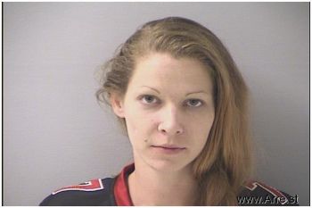 Leslie Anne Ballinger Mugshot