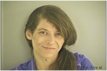 Leslie Anne Ballinger Mugshot