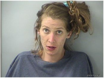 Leslie Anne Ballinger Mugshot