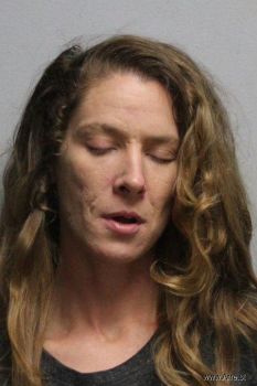 Leslie Anne Ballinger Mugshot