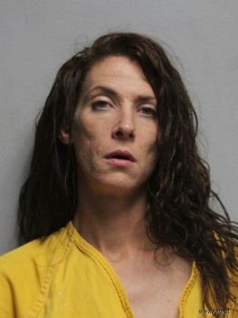 Leslie Anne Ballinger Mugshot