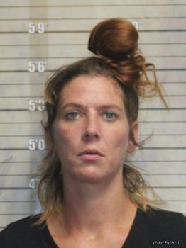 Leslie Anne Ballinger Mugshot