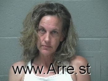 Leslie Ann Johnson Mugshot