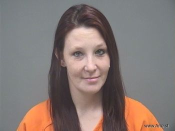 Lisa Colleen Andrews Mugshot