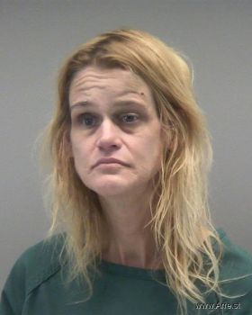 Lisa Marie Chandler Mugshot