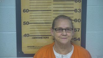 Lisa  Conner Mugshot