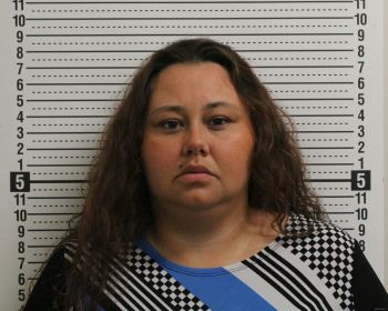 Lisa M Fields Mugshot