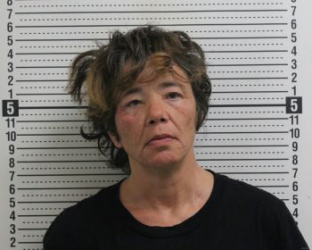 Lisa Jo Harris Mugshot