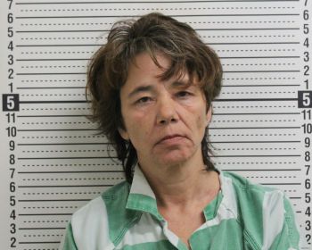 Lisa Jo Harris Mugshot