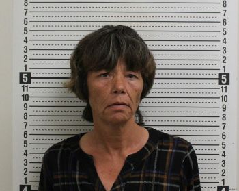 Lisa J Harris Mugshot