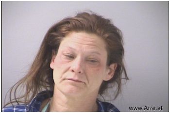 Lisa Renee Hoelle Mugshot