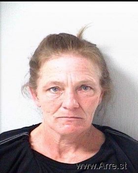 Lisa Gale Johnson Mugshot