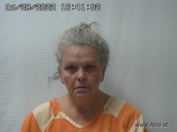 Lisa Darlene Martin Mugshot