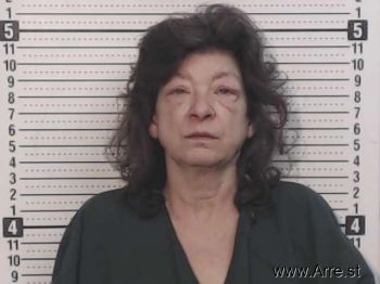 Lisa M Mcpherson Mugshot