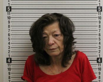 Lisa M Mcpherson Mugshot