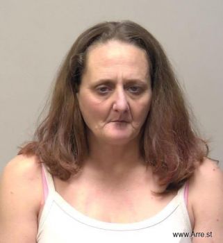 Lisa Jo Rinehammer Mugshot