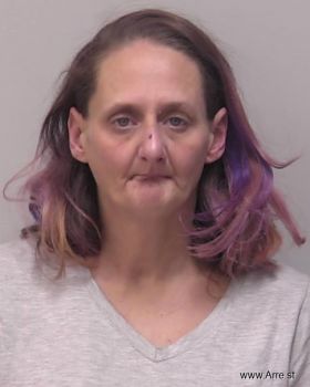 Lisa Jo Rinehammer Mugshot