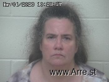 Lisa Ann Shannon Mugshot