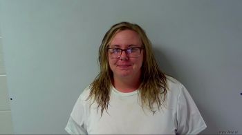 Lisa K Taylor Mugshot