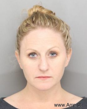 Lisa M Wells Mugshot