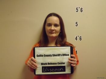 Lisa  Wiseman Mugshot