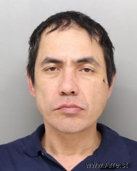 Long T Tran Mugshot