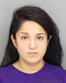 Lorena  Celis Mugshot