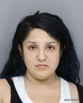 Lorena  Celis Mugshot