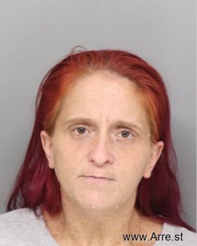 Lori  Bowman Mugshot