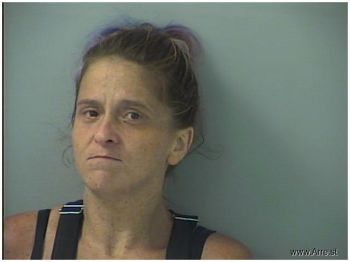 Lori Ann Bowman Mugshot