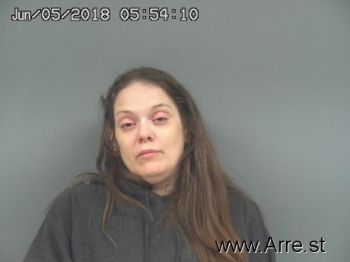 Lori Ann Johnson Mugshot