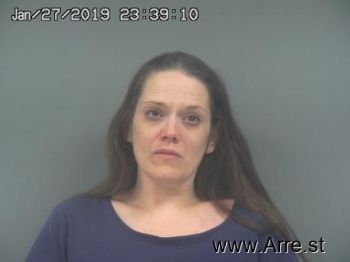 Lori Ann Johnson Mugshot