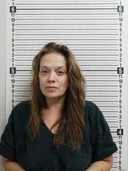 Lori A Johnson Mugshot