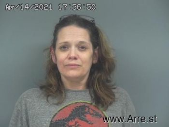 Lori Ann Johnson Mugshot