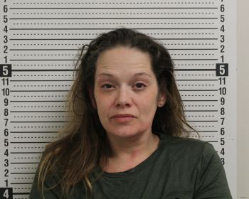 Lori Ann Johnson Mugshot