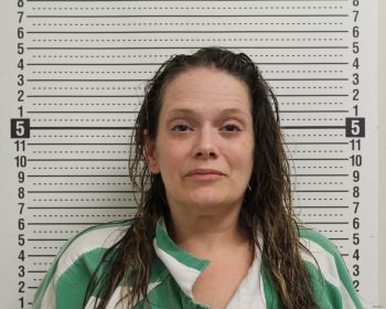 Lori A Johnson Mugshot