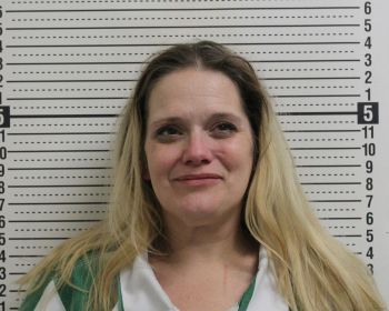 Lori A Johnson Mugshot