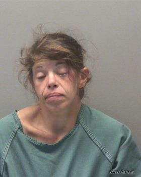 Lori Ann Richards-payne Mugshot