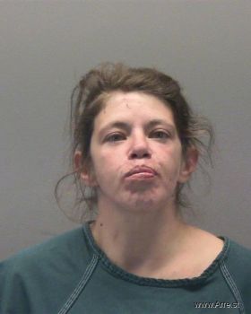 Lori Ann Richards-payne Mugshot